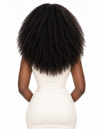 Kinky Coarse Afro Lace Front Glueless Wig 13x4/ 5x5